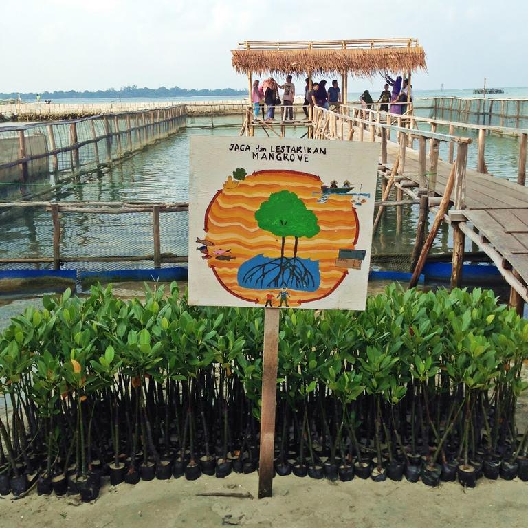 Harapan Solata Homestay Syariah Kepulauan Seribu Exterior foto